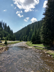 The wild river on mountains. Ukrainian Carpathians. Ukrainian mountains