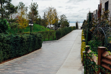 the road with green plants in the nature park