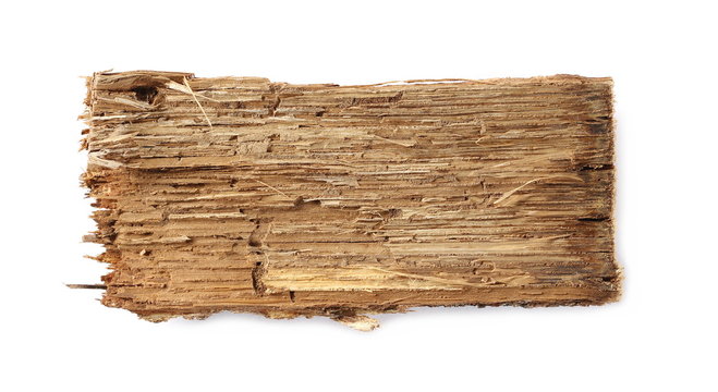 Broken wood piece, turned tree bark isolated on white background, top view