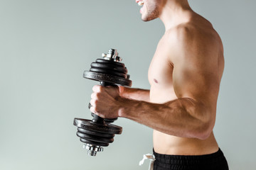 partial view of sexy muscular bodybuilder with bare torso exercising with dumbbells isolated on grey