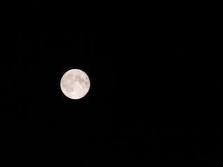 Obraz premium Full moon
