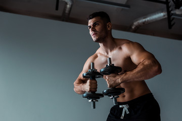 Fototapeta na wymiar low angle view of tense muscular bodybuilder with bare torso working out with dumbbells