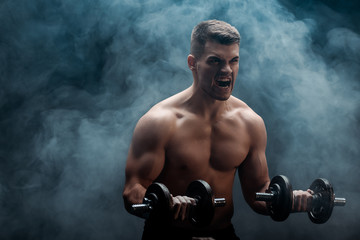 Fototapeta na wymiar tense sexy muscular bodybuilder with bare torso excising with dumbbells on black background with smoke