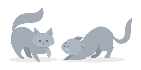 Cute grey and white cats in different position. Funny kitten play