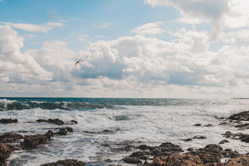 Fototapeta na wymiar Stone Beach sea coast storm and bird