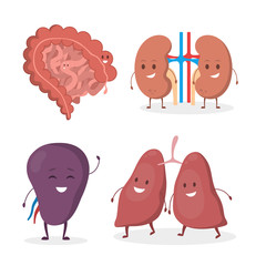 Internal human organ with funny faces set. Anatomy and biology concept.
