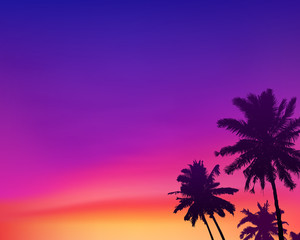 Fototapeta na wymiar Dark palm trees silhouettes on violet and pink colors sunset sky background, vector illustration
