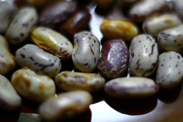 Bean close up food.
