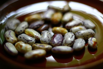 Bean close up food.