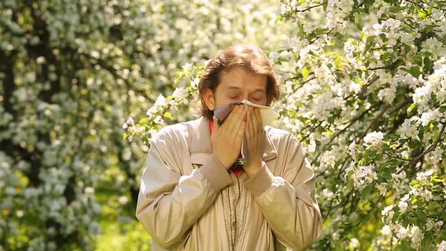 Young man sneezes from Apple blossom young man sneezes from blossom