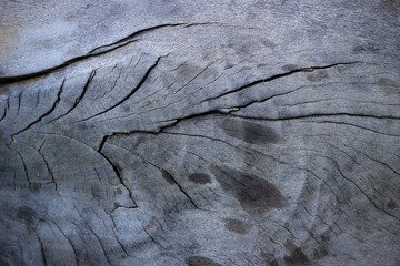 Gray and black wood texture