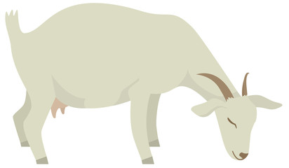 Farming set White goat Vector illustration Isolated object