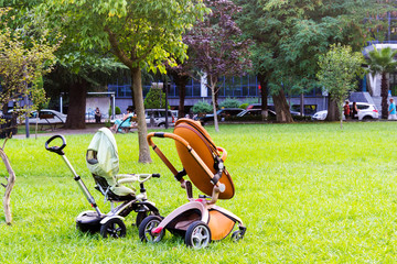 Modern baby carriages on green grass in a city park.