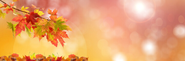 Panorama Goldener Herbst