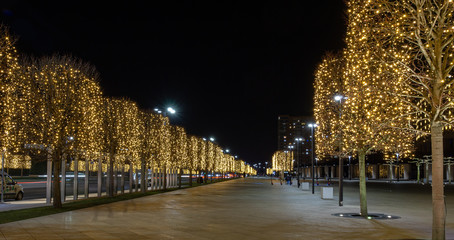 Holiday illumination for New Year and Christmas in Krasnodar city. Trees are decorated with...