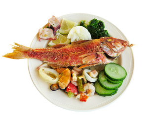 Cooked fish and seafood- mussel squid cucumber isolated on white