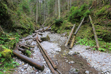 Fototapeta premium mountain gorge Slovensky raj in Slovakia