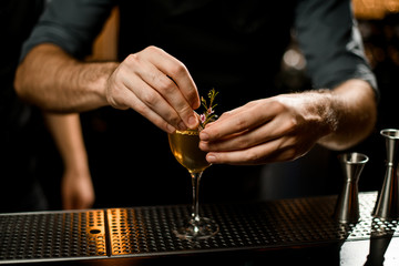 Professional male bartender decorated the yellow transparent alcoholic cocktail drink with a twig...