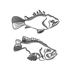 Fish logo template. Creative vector symbol of fishing club or online shop.