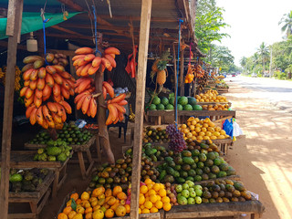 processed by AtomJPEG  1.5.0n