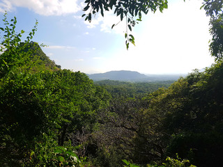 Obraz premium Landschaft Regenwald in Dambulla Sri Lanka mit Blick auf einen Berg und Wäldern