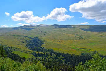 Beautiful mountains, meadows and green pines. Blue sky and white clouds. Summer landscape, sunny day. Horizontal photo. Plateau Lago-Naki, Adygea.