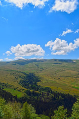 Fototapeta na wymiar Beautiful hills, meadows and green pines. Blue sky and white clouds. Summer landscape, sunny day. Vertical photo. Plateau Lago-Naki, Adygea.