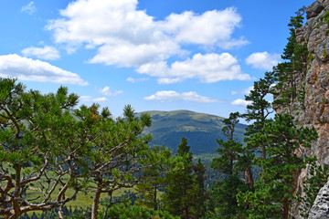 Fototapeta na wymiar Picturesque mountains, meadows, green pines on the cliff side. Blue sky and white clouds. Summer landscape, sunny day. Horizontal photo. Lago-Naki Plateau, Adygea.