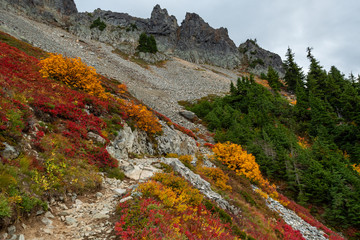 Vibrant Fall Colors in Brush Stand Out from Rocky Trail