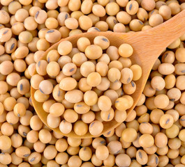 soybeans on wooden spoon