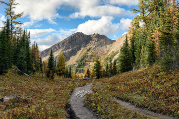 Naklejka premium Hiking trail with rocky mountains in autumn forest at provincial park