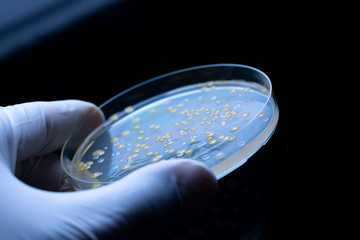 research and development of new drugs: concept of biotechnology and applied biology