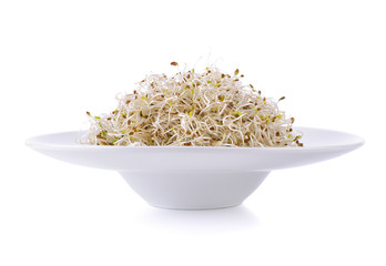 Sprouted alfalfa seeds in bowl on white background