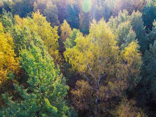 Fototapeta na wymiar Drone view of the mixed forest in sunny autumn day, Toksovo, Leningrad Oblast, Russia