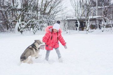 Fototapeta na wymiar Little girl in a pink jacket playing with a Siberian husky breed dog in the winter in the snow