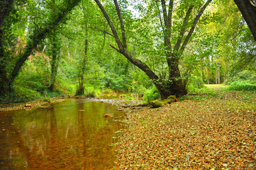 Parque Natural de la Sierra Norte de Sevilla en otoño. El río Hueznar, cerca de San Nicolás del...