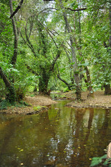  Parque Natural de la Sierra Norte de Sevilla en otoño. El río Hueznar, cerca de San Nicolás del Puerto, un pueblo de la provincia de Sevilla, Andalucía, España
