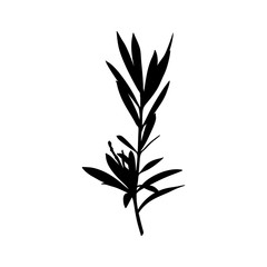 Black Silhouette of a branch of a Plant isolated on a white background. Vector illustration