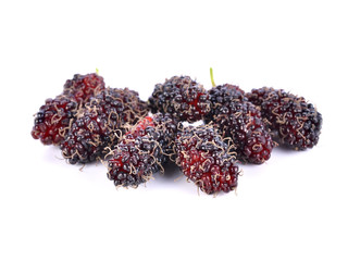 mulberry isolated on the white background