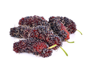 mulberry isolated on the white background