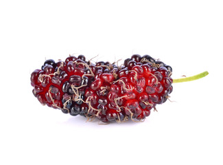 mulberry isolated on the white background