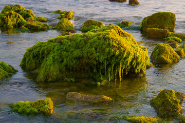 abstracted stone shore and rocks on different backgrounds