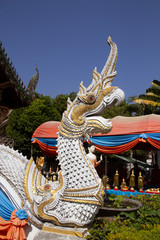 Fototapeta premium naga statue in Temple Thailand, Texture background