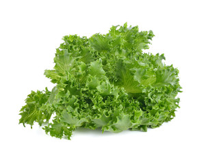 Fototapeta premium Green lettuce isolated on white