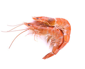 shrimps. Prawns on white background. Seafood