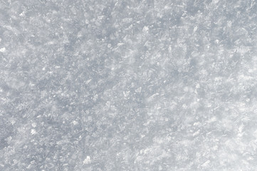 Snow background with detailed snowflakes. A macro photo of real snow crystals: large stellar dendrites with hexagonal symmetry, long elegant patterns and delicate transparent structures