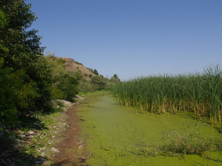 Fototapeta na wymiar Dniester River in western Ukraine, near the Khotyn castle.