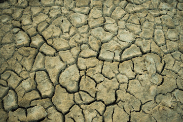cracked earth texture