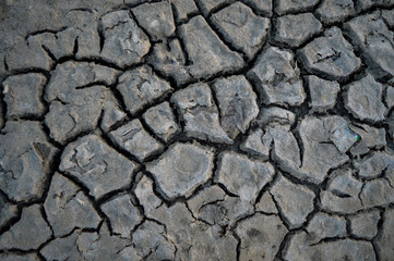dry cracked earth texture