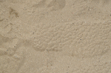 footprints in the sand